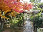 daitokuji-garden-content